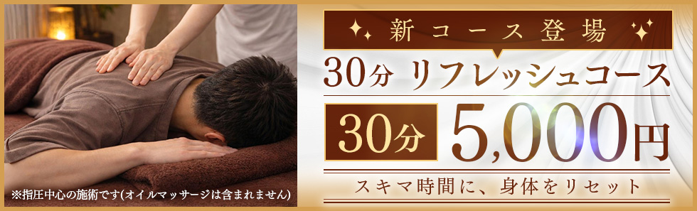 30分リフレッシュコース